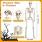 2PCS 3FT Halloween Skeleton Decorations, 36" Full Body Halloween Posable Joints Skeleton, Plastic Realistic Human Bones Prop for Halloween Party, Yard Lawn Haunted House Indoor Outdoor Decoration